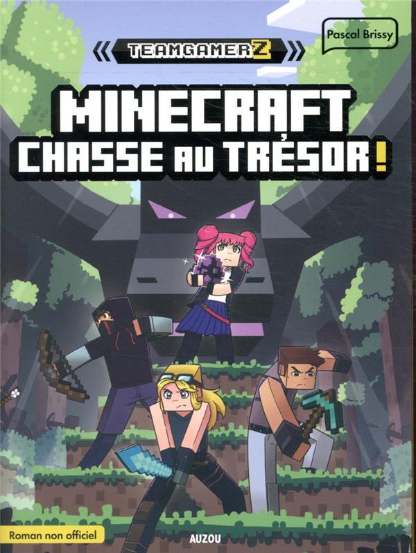 Team GamerZ Tome 2 : minecraft : chasse au trésor ! - flash vidéo