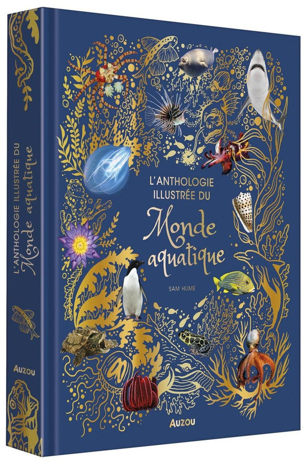 L'anthologie illustrée du monde aquatique - flash vidéo