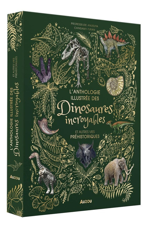 L'anthologie illustrée des dinosaures incroyables et autres vies préhistoriques - flash vidéo
