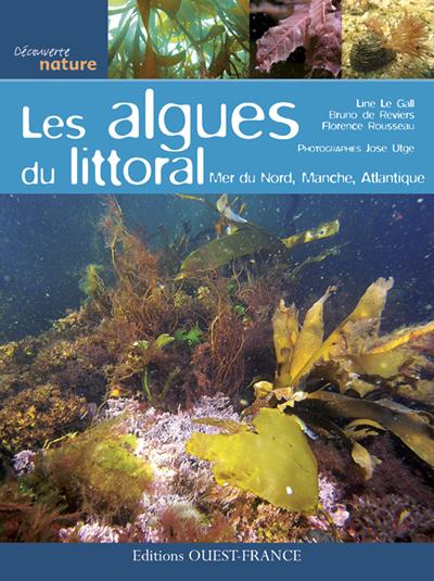 Les algues des côtes atlantiques françaises - flash vidéo