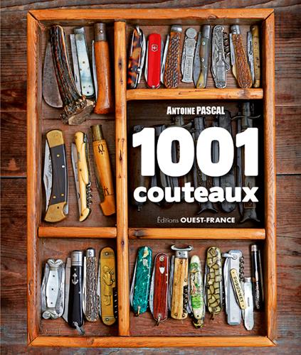 1001 couteaux - flash vidéo