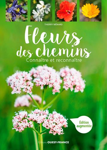 Fleurs des chemins - flash vidéo