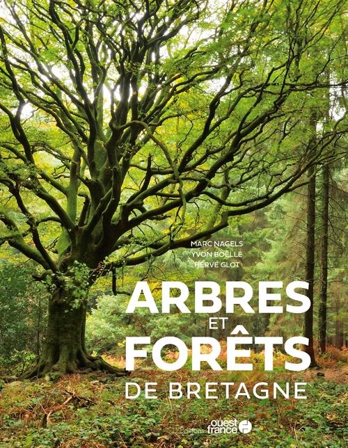 Arbres et forêts de Bretagne - flash vidéo