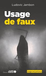 Usage de faux - flash vidéo