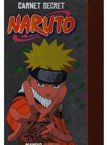 Naruto : le carnet secret du ninja - flash vidéo