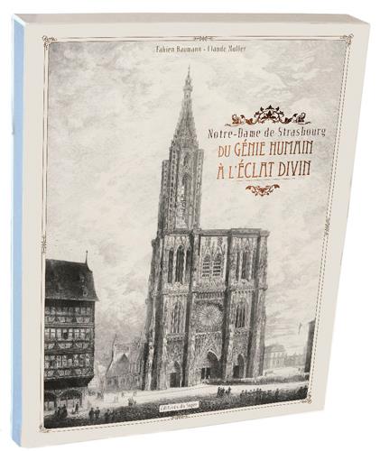 Notre-Dame de Strasbourg ; du génie humain à l'éclat divin - flash vidéo