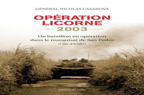 Opération Licorne ; un bataillon en opération dans le marquisat de San Pedro (Côte d'Ivoire) - flash vidéo