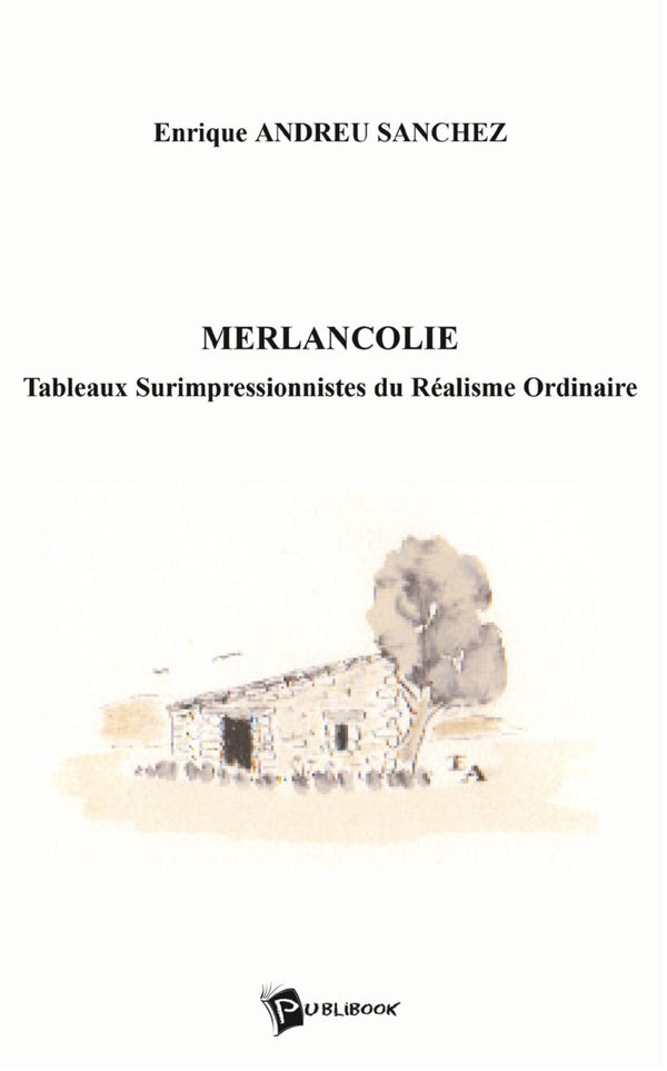 Merlancolie : tableaux surimpressionnistes du réalisme ordinaire