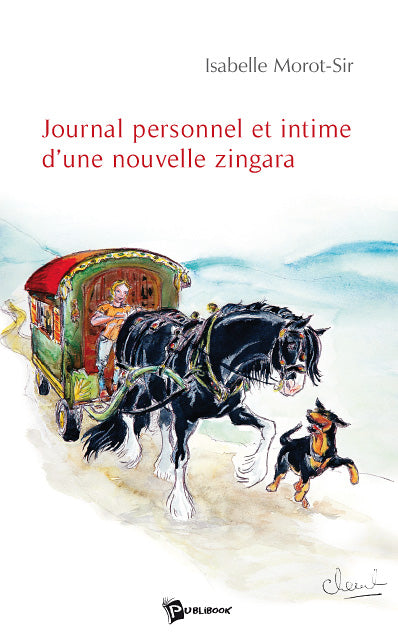 Journal personnel et intime d'une nouvelle zingara
