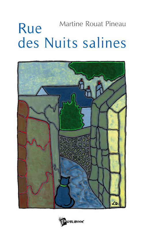 Rue des nuits salines