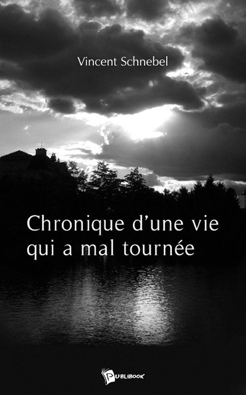 Chronique d'une vie qui a mal tourné