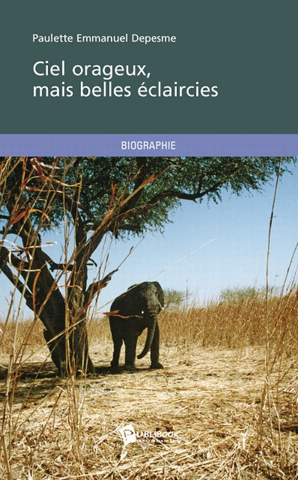 Ciel orageux, mais belles éclaircies