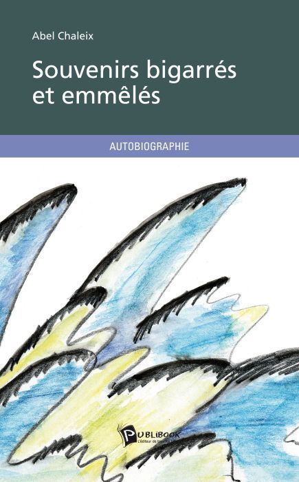 Souvenirs bigarrés et emmêlés