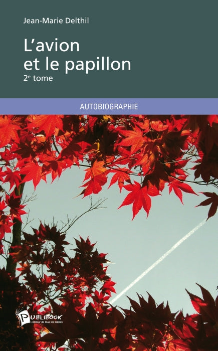 L'avion et le papillon Tome 2