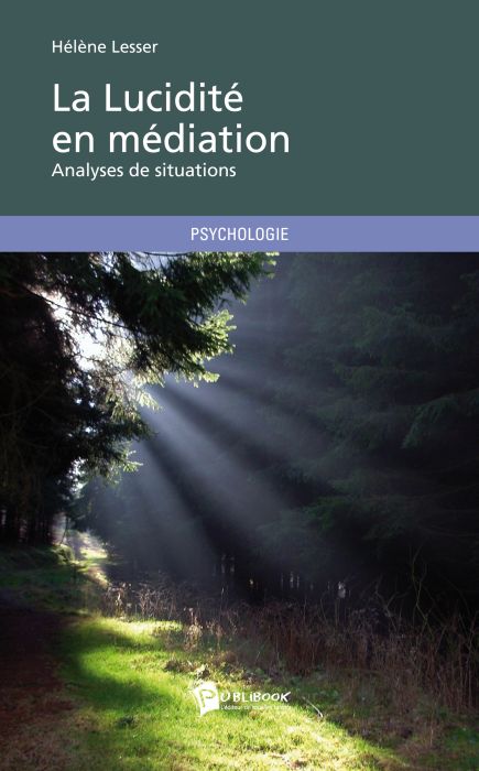 La lucidité en médiation ; analyses de situations