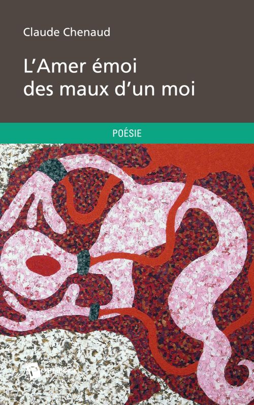 L'amer émoi des maux d'un moi