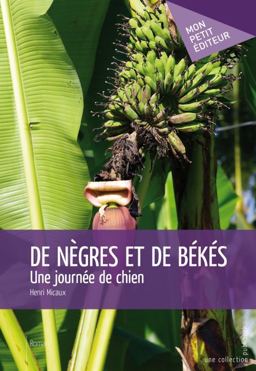 De nègres et de békés ; une journée de chien