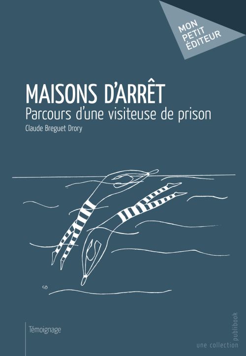 Maisons d'arrêt ; parcours d'une visiteuse de prison