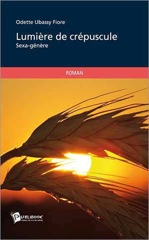 Lumière de crépuscule
