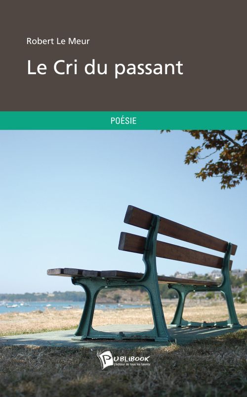 Le cri du passant