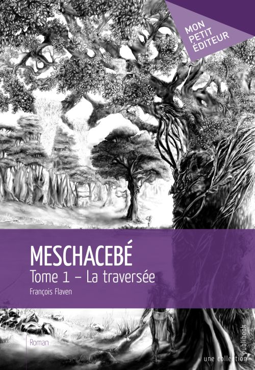 Meschacebé Tome 1