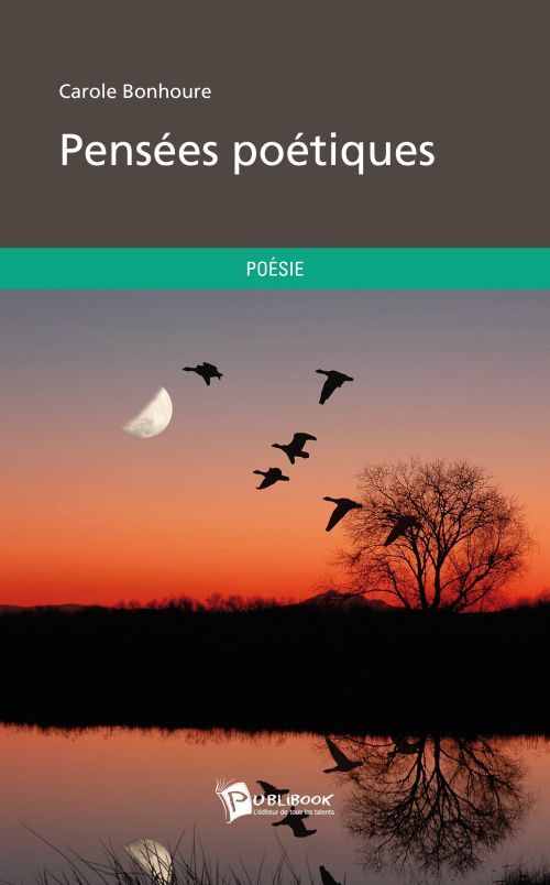 Pensees poetiques