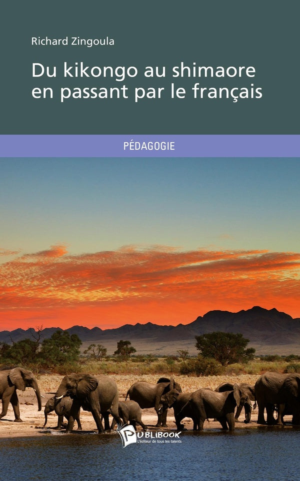 Du kikongo au shimaore en passant par le français