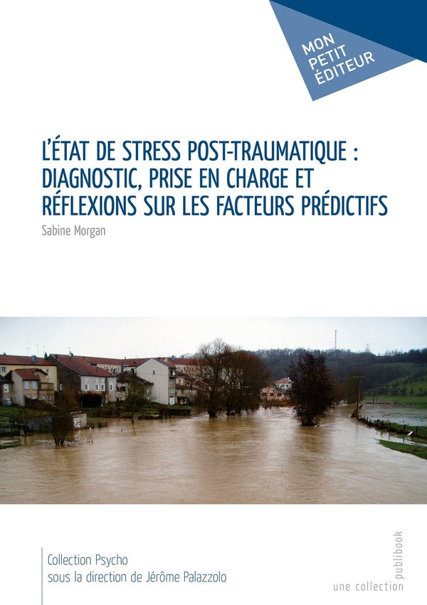 L'état de stress post-traumatique ; diagnostic, prise en charge et réflexions sur les facteurs prédictifs