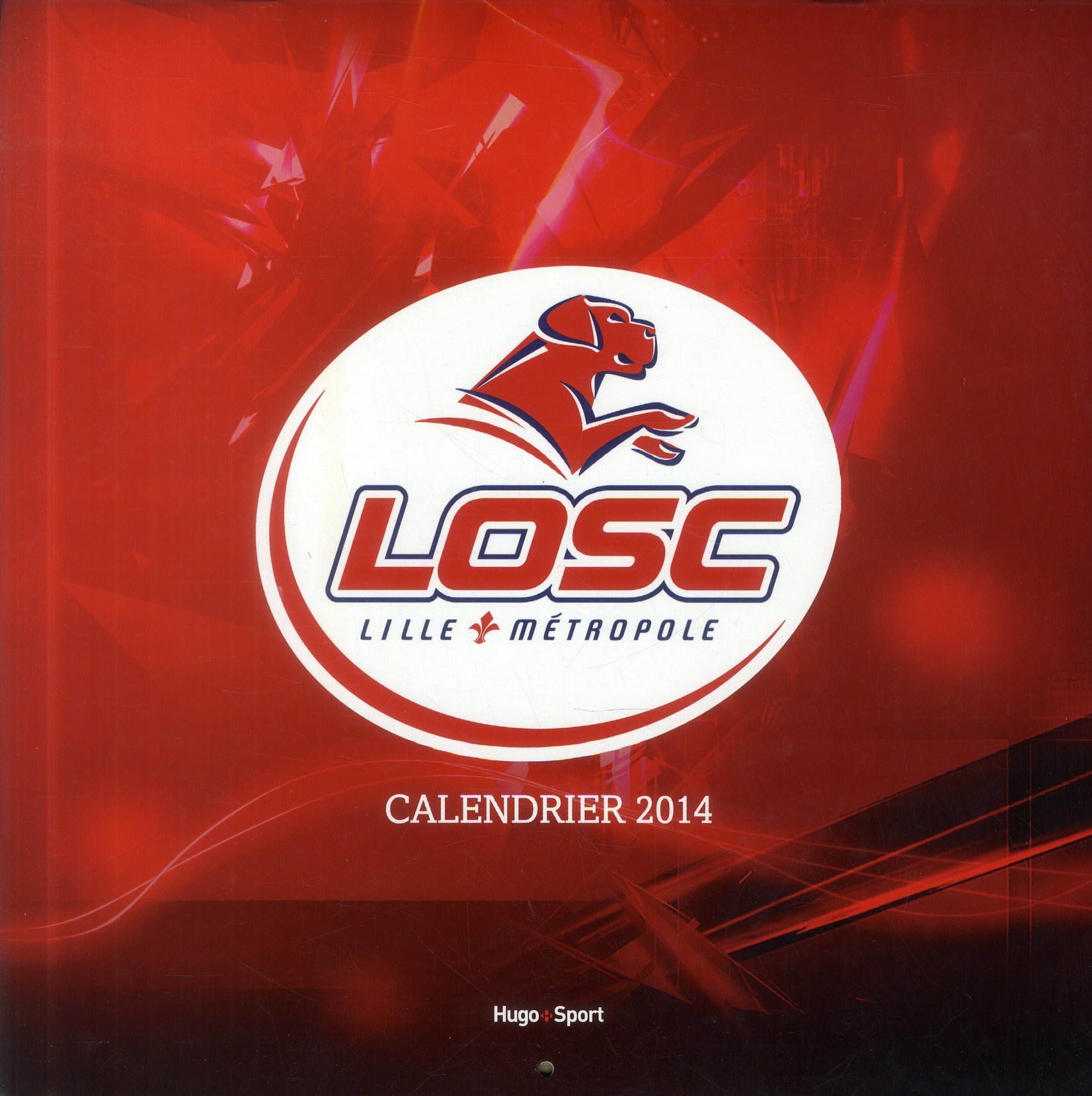 Calendrier mural Losc 2014