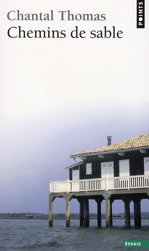 Chemins de sable - flash vidéo