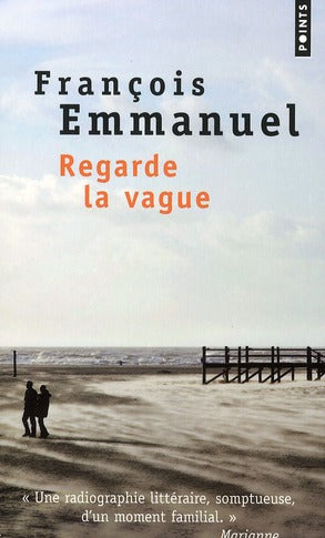 Regarde la vague - flash vidéo