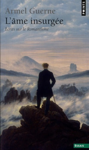 âme insurgée ; écrits sur le romantisme - flash vidéo