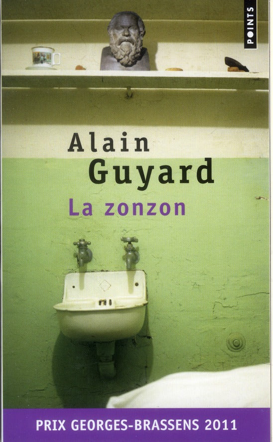 La zonzon - flash vidéo