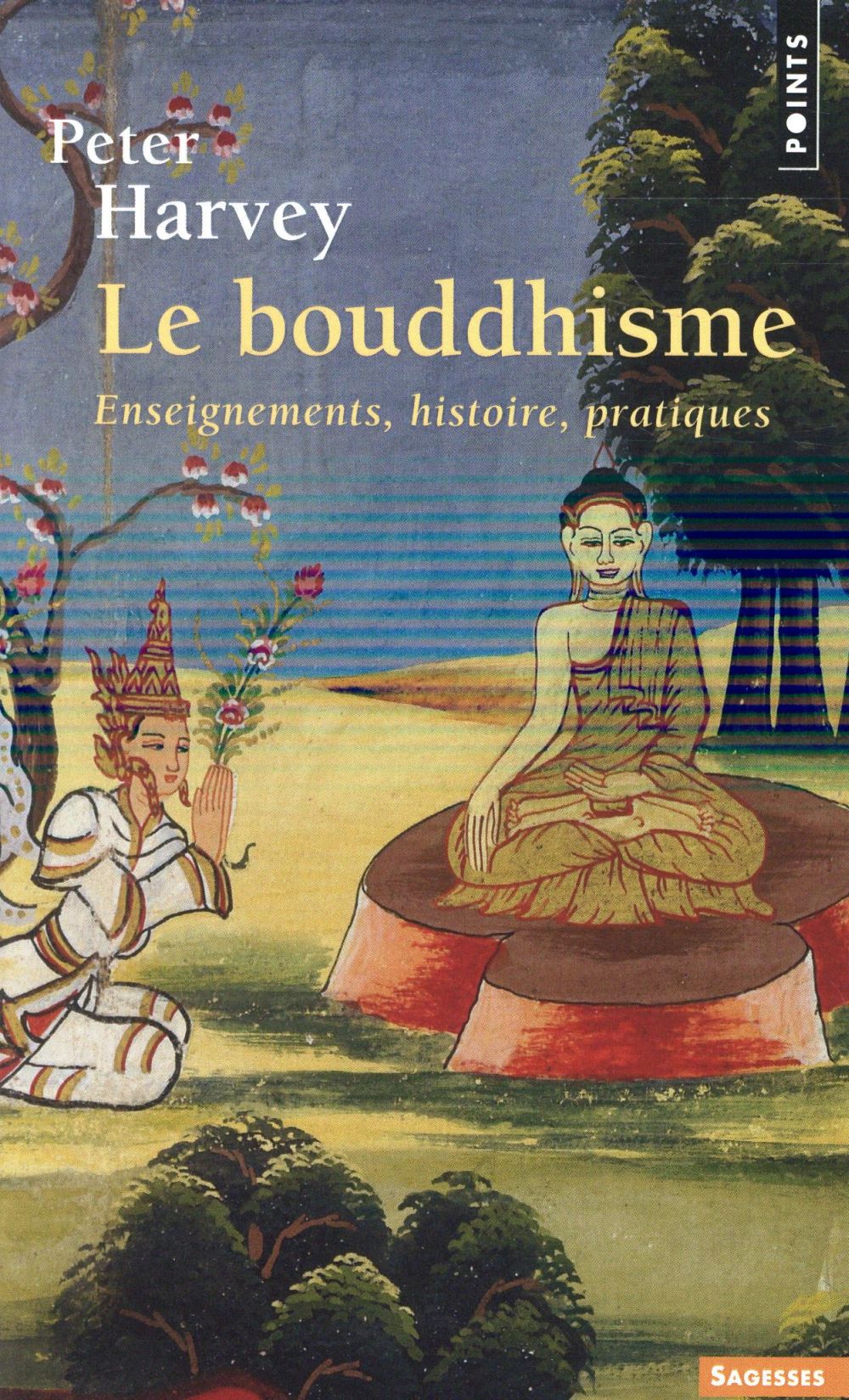 Le bouddhisme ; enseignements, histoire, pratiques