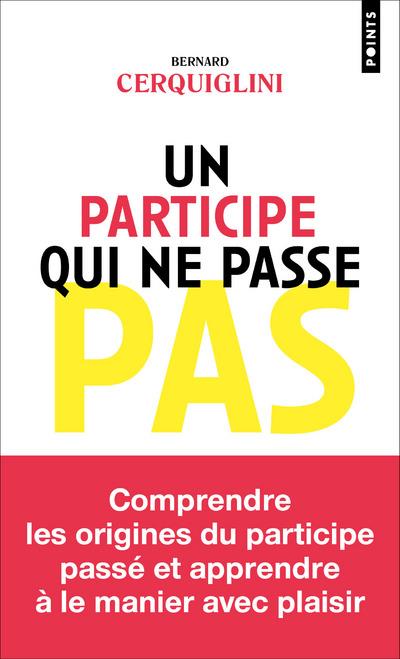 Un participe qui ne passe pas - flash vidéo
