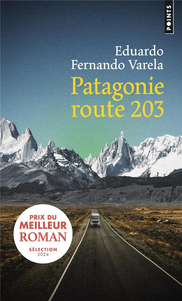 Patagonie, route 203
