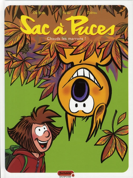 Sac à puces Tome 2 ; chauds les marrons - flash vidéo