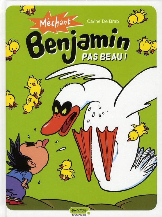 Méchant Benjamin Tome 2 ; pas beau - flash vidéo