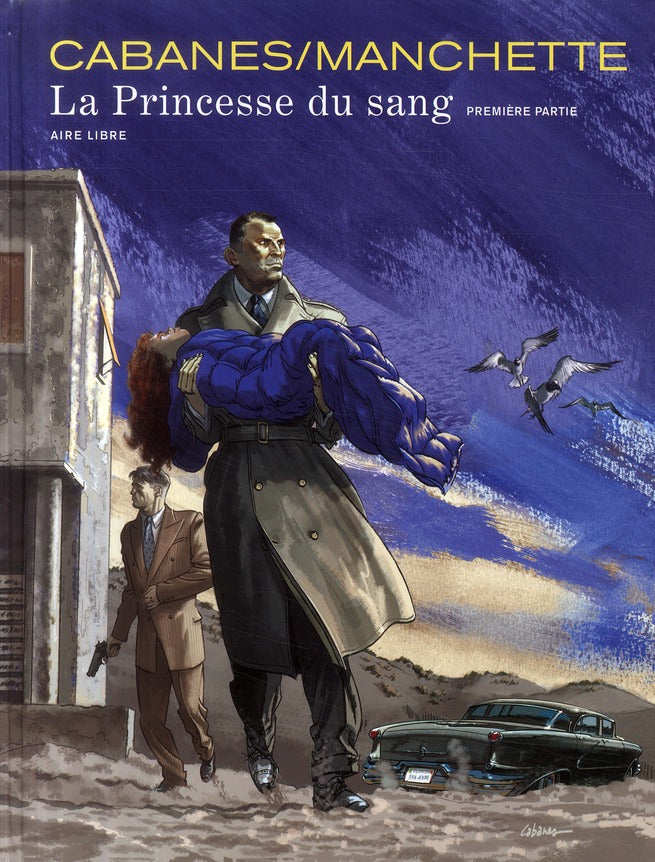 La princesse de sang Tome 1 - flash vidéo