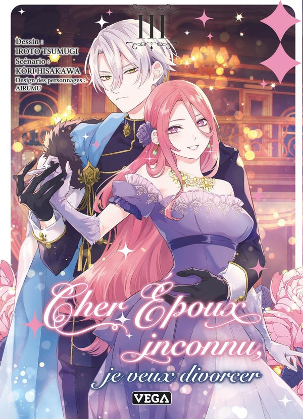 Cher époux inconnu, je veux divorcer Tome 3