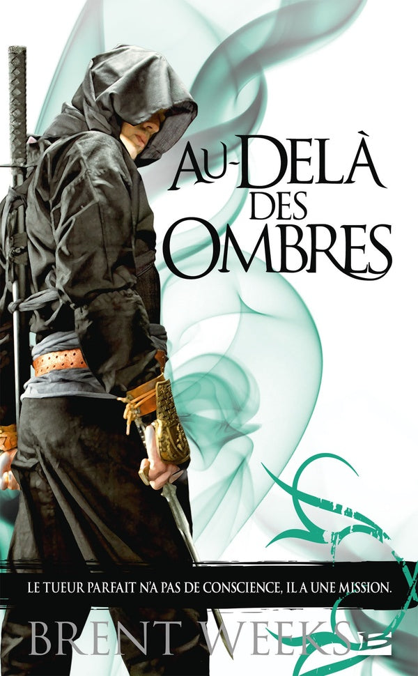 L'ange de la nuit Tome 3 : au-delà des ombres