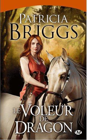Sianim Tome 3 : le voleur de dragon
