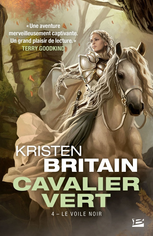Cavalier vert Tome 4 : le voile noir