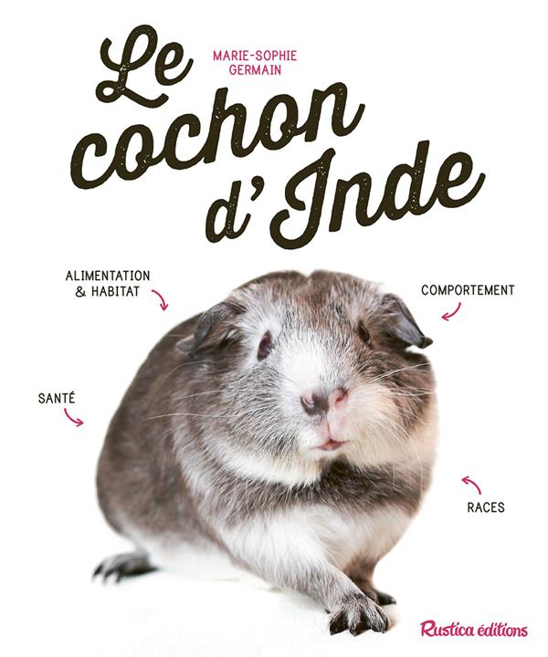 Le cochon d'inde