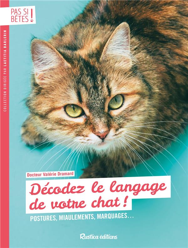 Décodez le langage de votre chat ! - flash vidéo