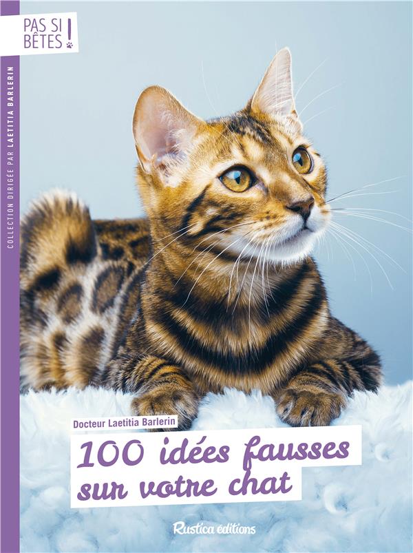 100 idées fausses sur votre chat - flash vidéo