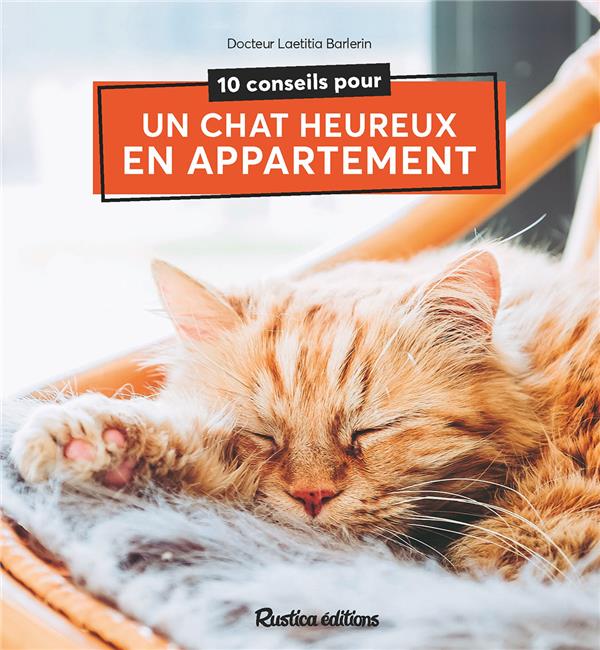 10 conseils pour un chat heureux de vivre en appartement