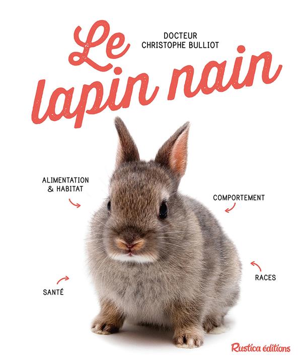 Le lapin nain - flash vidéo