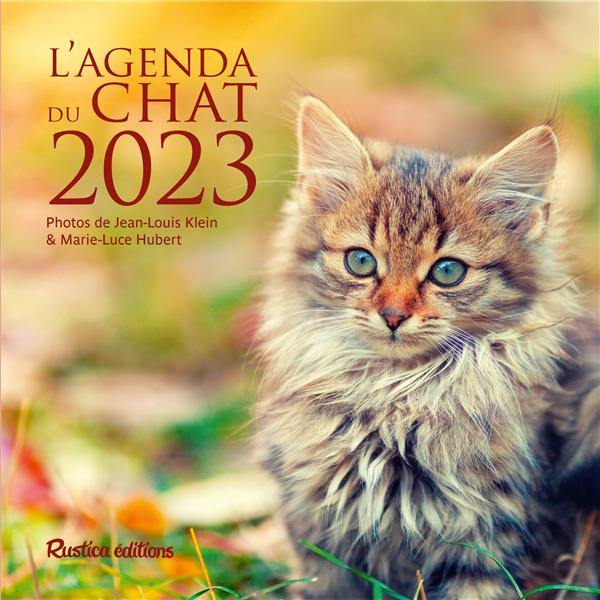 L'agenda du chat (édition 2023) - flash vidéo