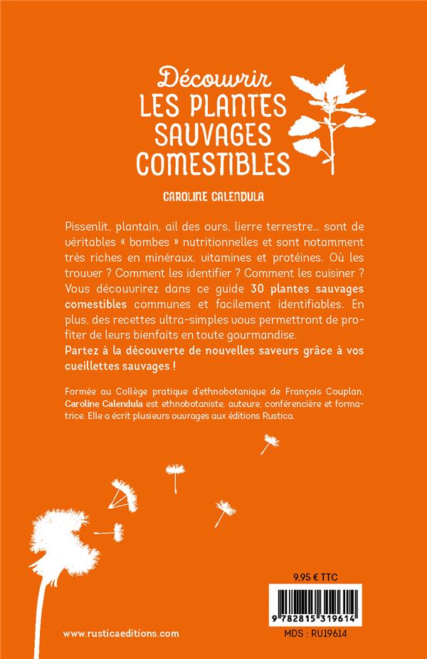 Découvrir les plantes sauvages comestibles